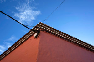 Europe, Canary Islands, La Gomera, house, detail Europe, Canary Islands, La Gomera, house, detail